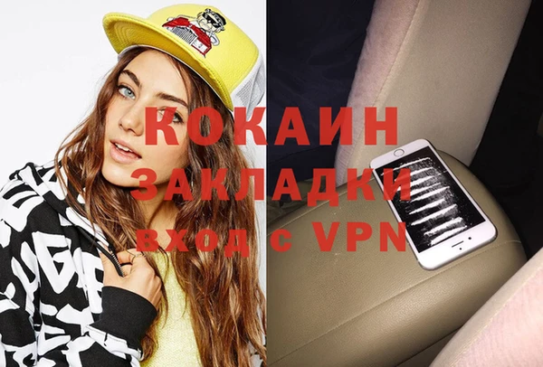 прущие грибы Богданович
