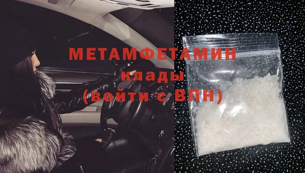 прущие грибы Богданович