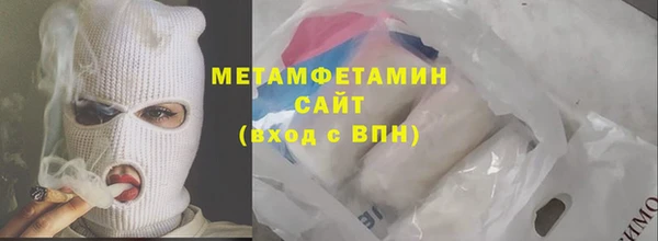 прущие грибы Богданович