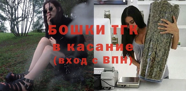 mdpv Богородск