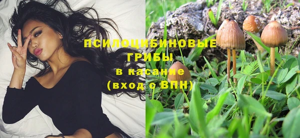 2c-b Беломорск