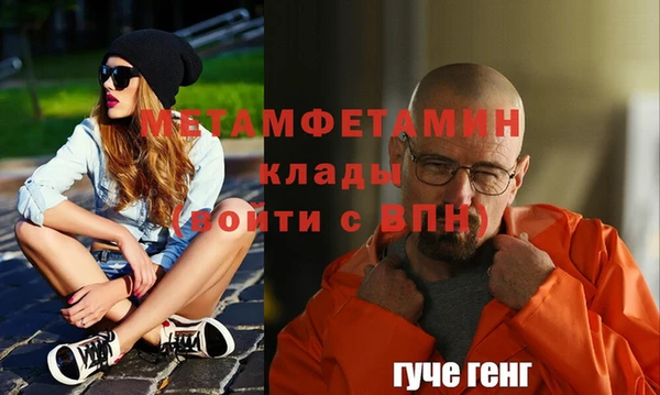прущие грибы Богданович